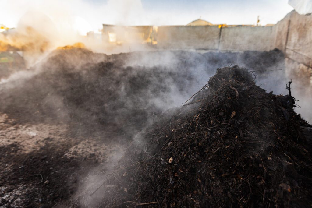 Steam rising from piles of thermal compost